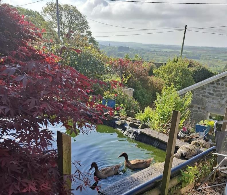 Cosy Cornish Cabin St. Austell Exterior photo