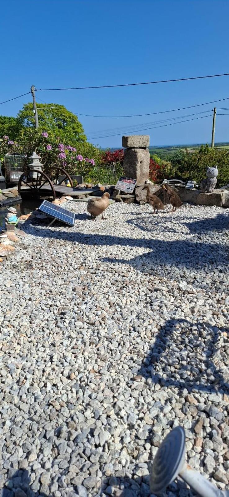 Cosy Cornish Cabin St. Austell Exterior photo